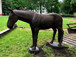 Hobune / Horse 78