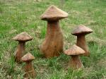 Seened / Mushrooms 10