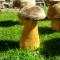 Seened / Mushrooms 11
